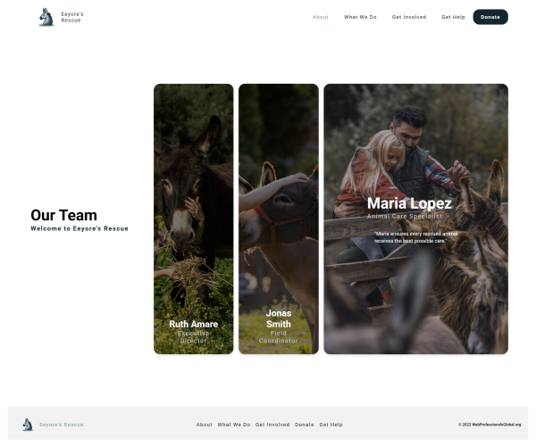 Design Portfolio